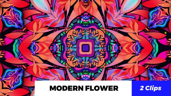 Modern Flower Kaleido - 19277233 Download Videohive
