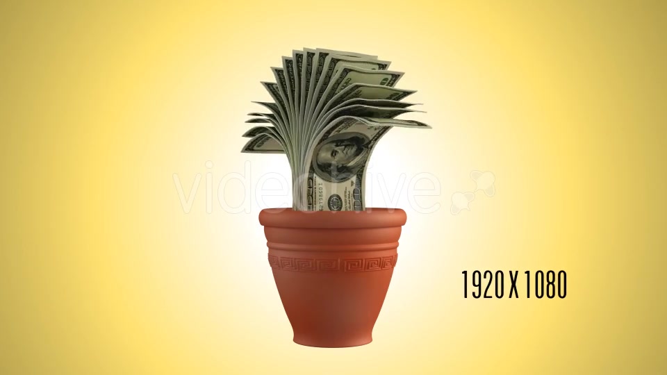Money Plant Videohive 16090432 Motion Graphics Image 4