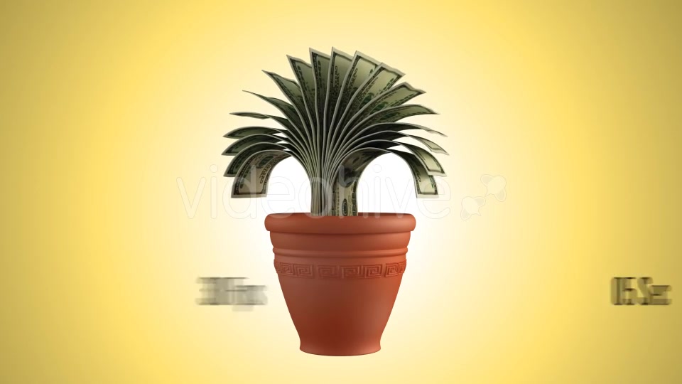 Money Plant Videohive 16090432 Motion Graphics Image 5
