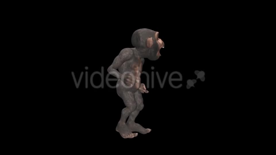 Monkey Jumping Wild Chimpanzee Videohive 12947322 Motion Graphics Image 1