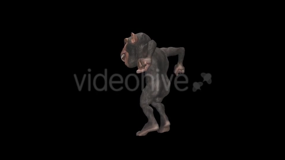 Monkey Jumping Wild Chimpanzee Videohive 12947322 Motion Graphics Image 10