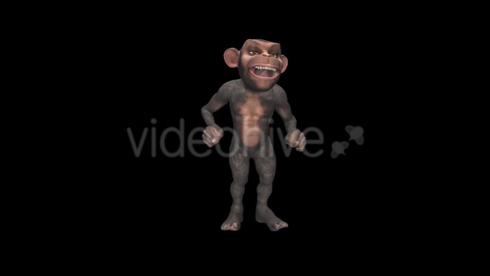 Monkey Jumping Wild Chimpanzee Videohive 12947322 Motion Graphics Image 2