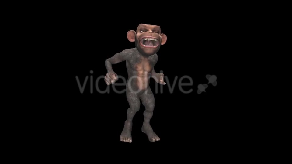 Monkey Jumping Wild Chimpanzee Videohive 12947322 Motion Graphics Image 3