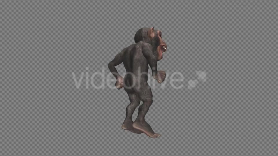 Monkey Jumping Wild Chimpanzee Videohive 12947322 Motion Graphics Image 4