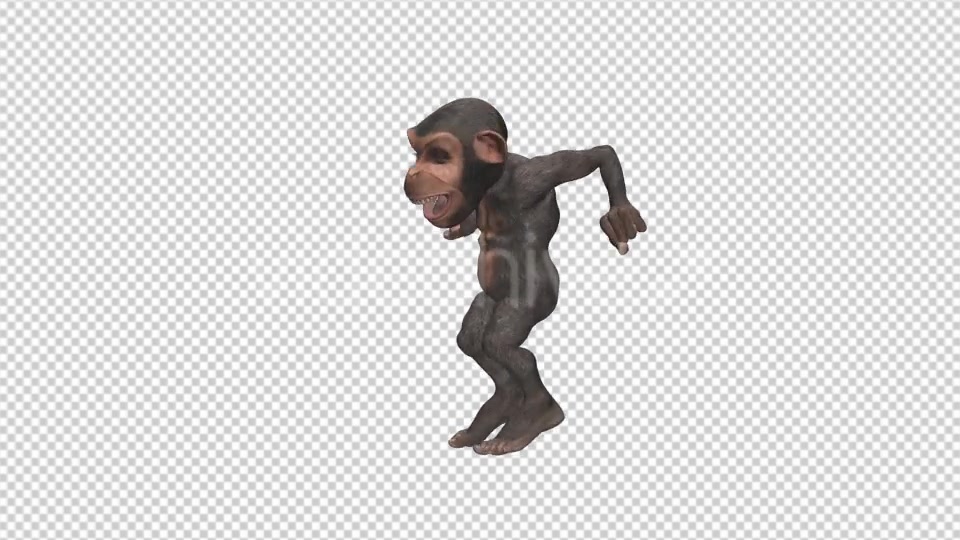 Monkey Jumping Wild Chimpanzee Videohive 12947322 Motion Graphics Image 5