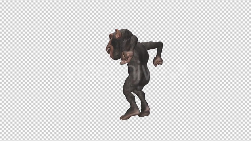 Monkey Jumping Wild Chimpanzee Videohive 12947322 Motion Graphics Image 8