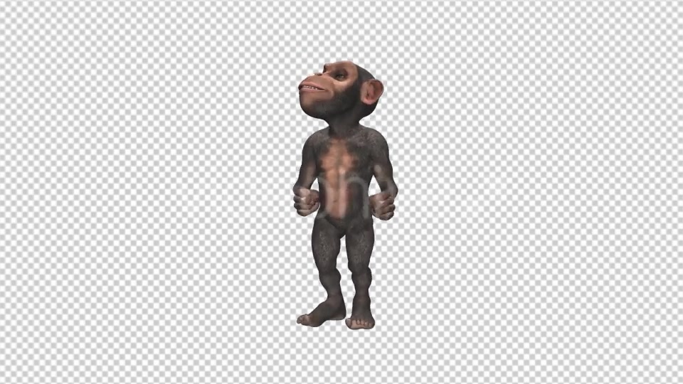 Monkey Jumping Wild Chimpanzee Videohive 12947322 Motion Graphics Image 9