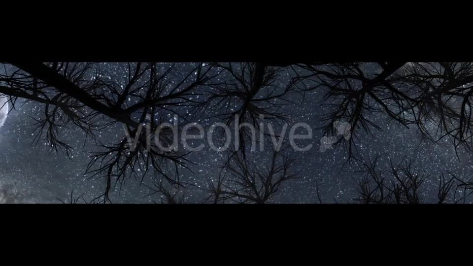 Moon And Scary Trees Videohive 19767454 Motion Graphics Image 1