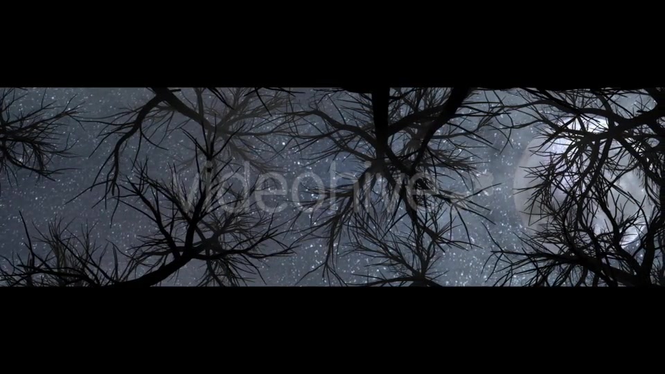 Moon And Scary Trees Videohive 19767454 Motion Graphics Image 10