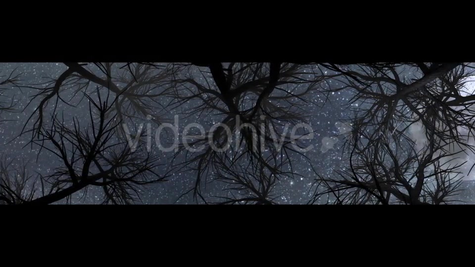 Moon And Scary Trees Videohive 19767454 Motion Graphics Image 11