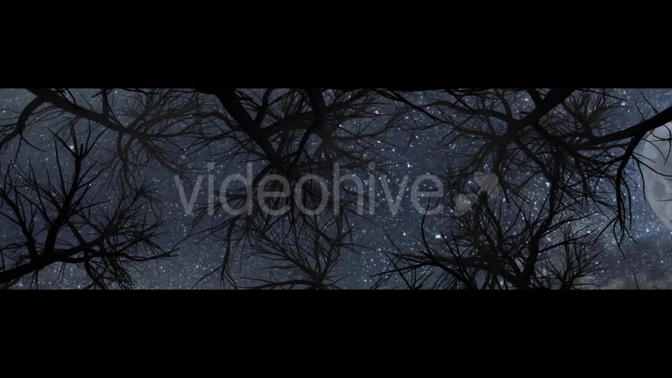 Moon And Scary Trees Videohive 19767454 Motion Graphics Image 12