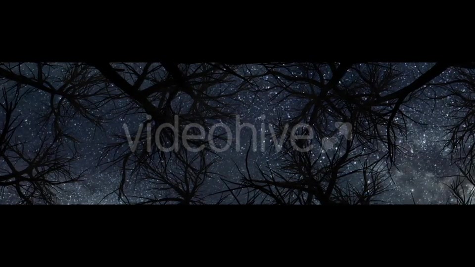 Moon And Scary Trees Videohive 19767454 Motion Graphics Image 13