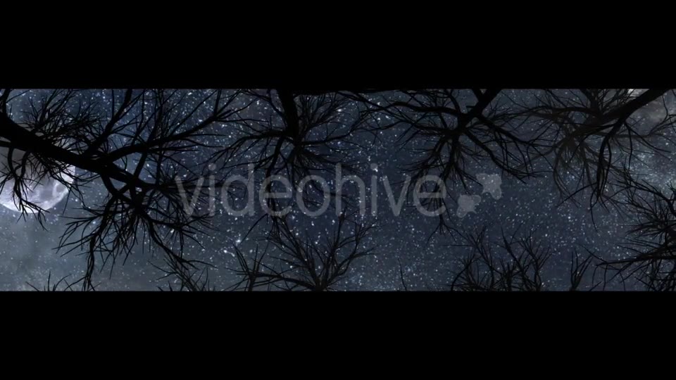 Moon And Scary Trees Videohive 19767454 Motion Graphics Image 2