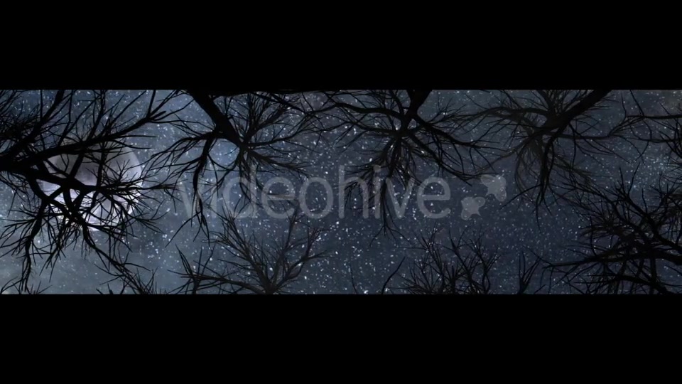 Moon And Scary Trees Videohive 19767454 Motion Graphics Image 3