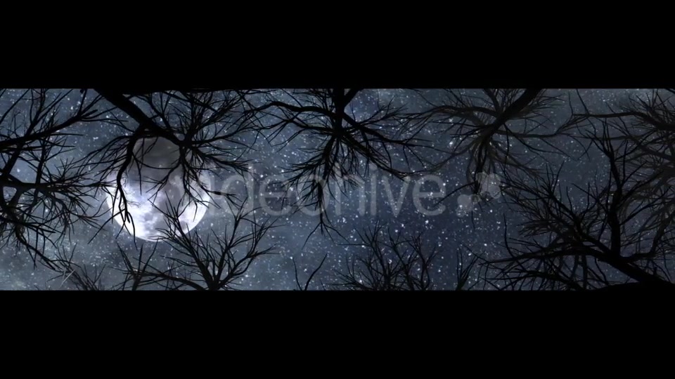 Moon And Scary Trees Videohive 19767454 Motion Graphics Image 4