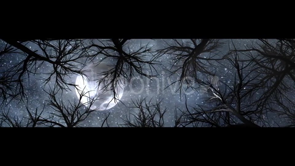 Moon And Scary Trees Videohive 19767454 Motion Graphics Image 5