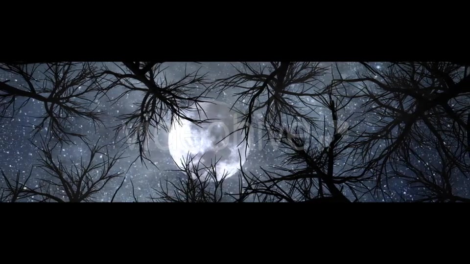 Moon And Scary Trees Videohive 19767454 Motion Graphics Image 6