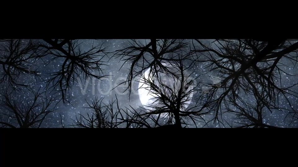 Moon And Scary Trees Videohive 19767454 Motion Graphics Image 7