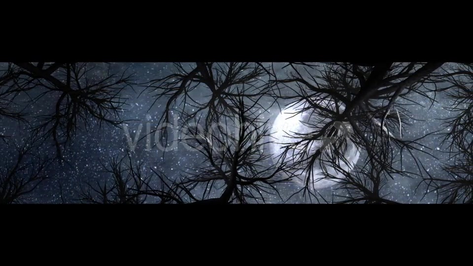 Moon And Scary Trees Videohive 19767454 Motion Graphics Image 8