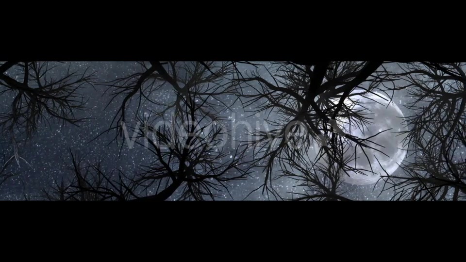 Moon And Scary Trees Videohive 19767454 Motion Graphics Image 9