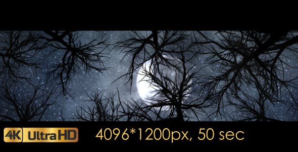 Moon And Scary Trees - Videohive 19767454 Download