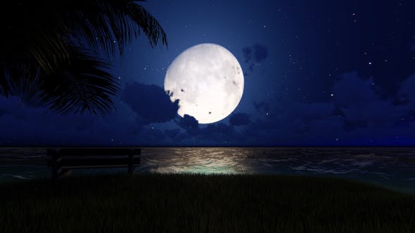 Moon View - 21194654 Download Videohive