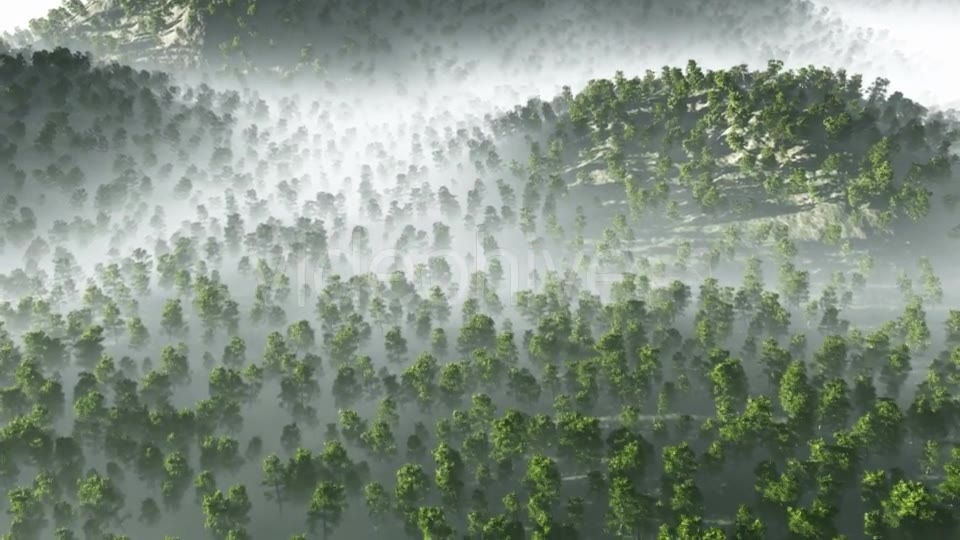 Morning Fog in Dense Tropical Eainforest Videohive 19212061 Motion Graphics Image 2