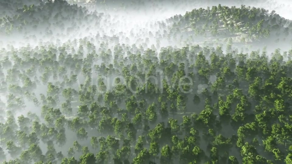 Morning Fog in Dense Tropical Eainforest Videohive 19212061 Motion Graphics Image 5