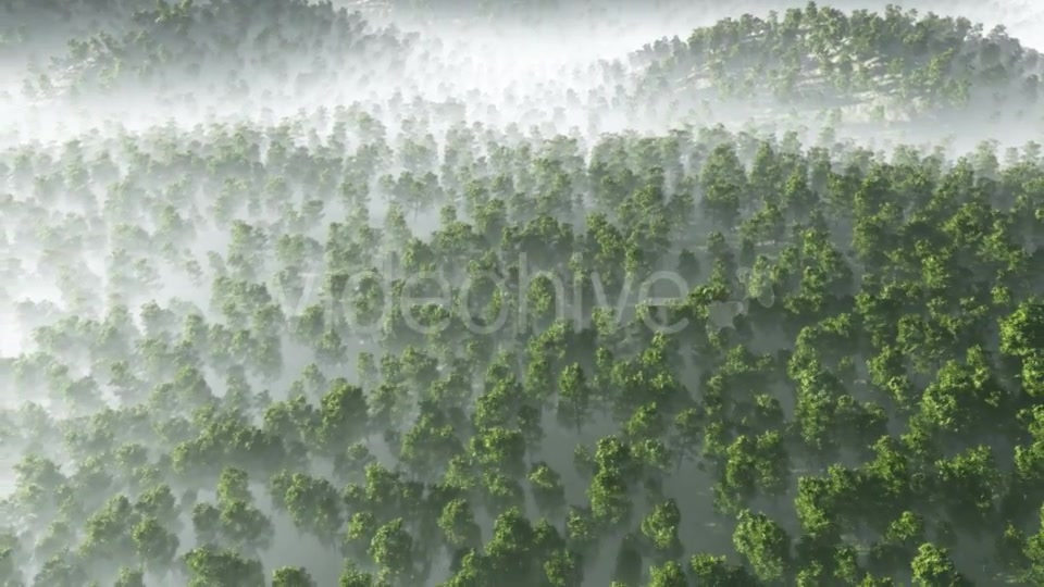 Morning Fog in Dense Tropical Eainforest Videohive 19212061 Motion Graphics Image 6