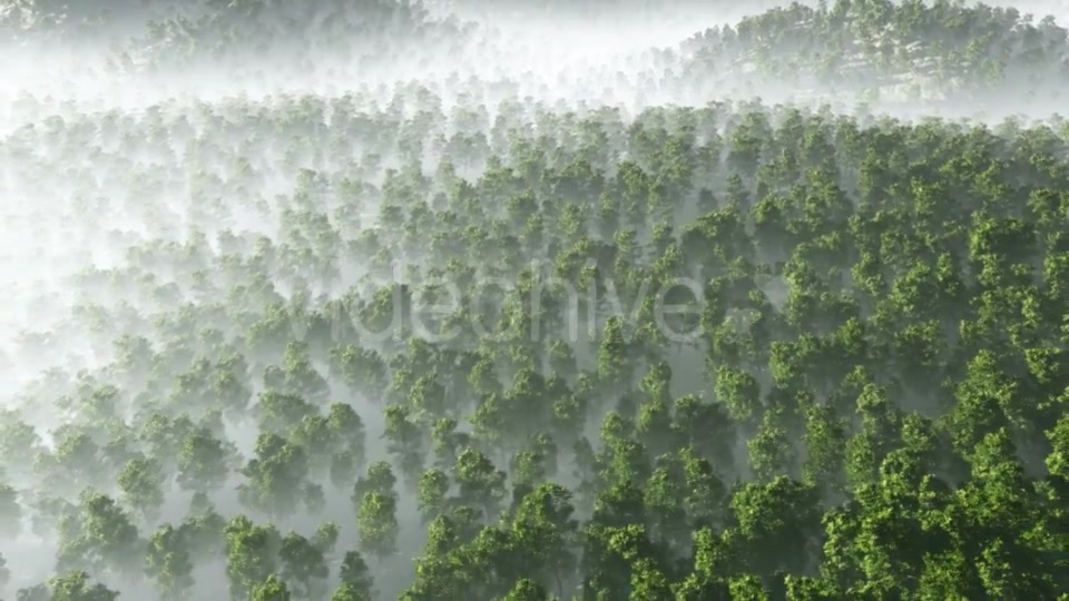 Morning Fog in Dense Tropical Eainforest Videohive 19212061 Motion Graphics Image 7