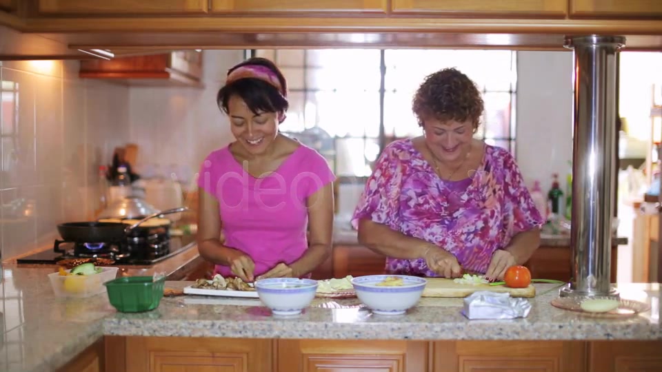 Mother Daughter Preparing Meal Together  Videohive 3328132 Stock Footage Image 6