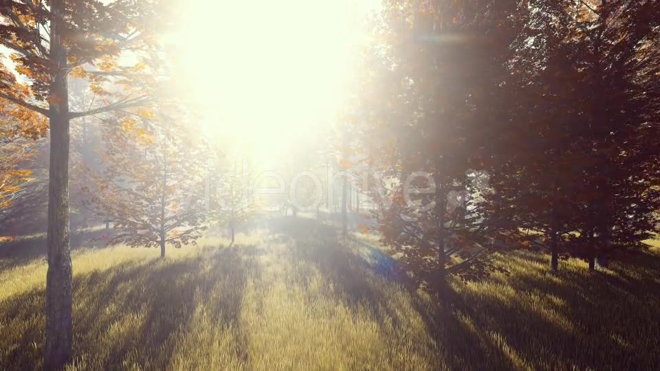 Mountain Forest with Sun Videohive 19285505 Motion Graphics Image 2