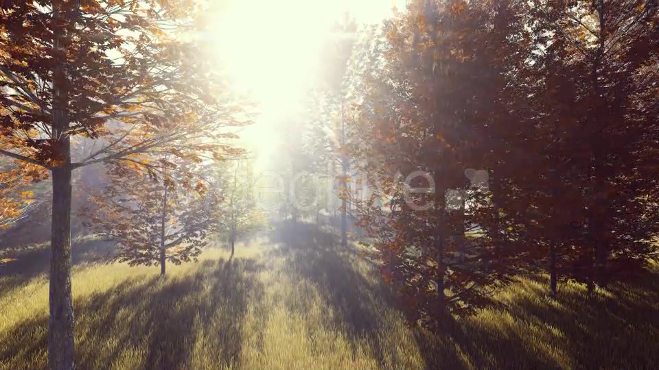 Mountain Forest with Sun Videohive 19285505 Motion Graphics Image 3