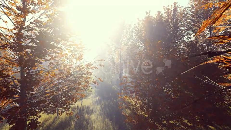 Mountain Forest with Sun Videohive 19285505 Motion Graphics Image 5