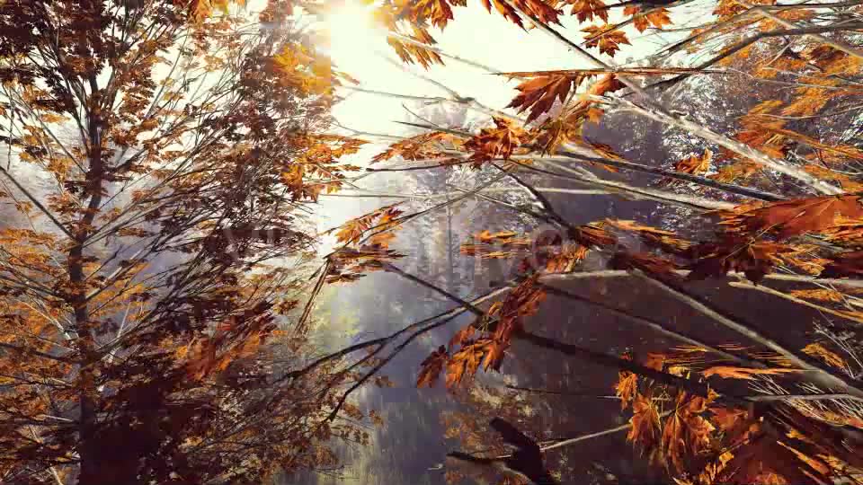 Mountain Forest with Sun Videohive 19285505 Motion Graphics Image 6