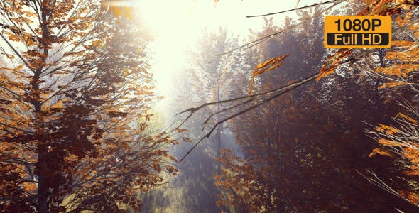 Mountain Forest with Sun - Videohive Download 19285505