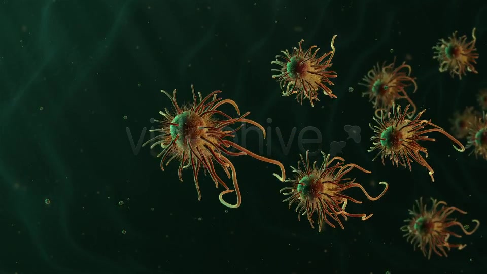 Moving Bacteria Videohive 19228826 Motion Graphics Image 6