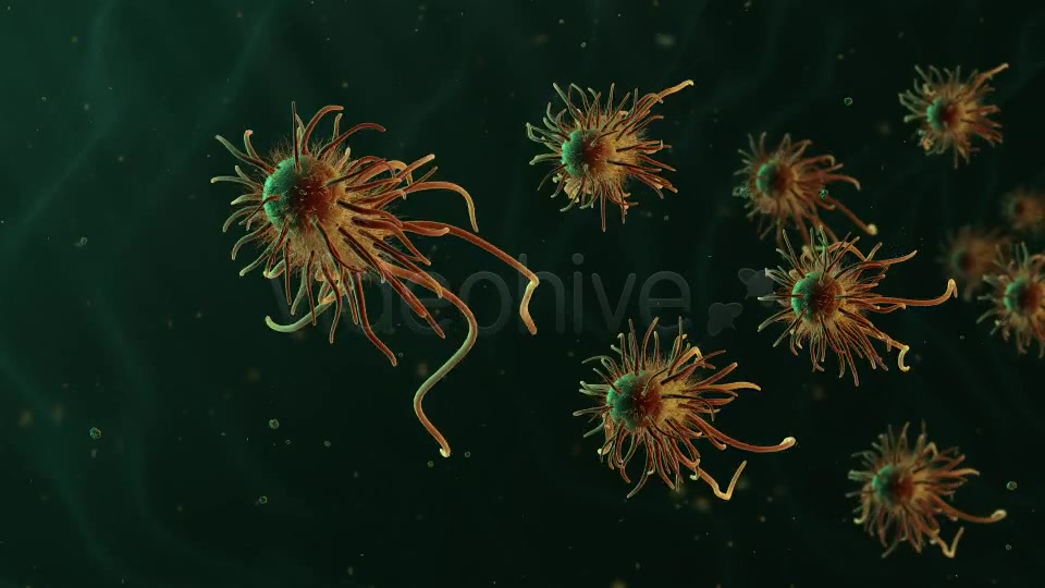 Moving Bacteria Videohive 19228826 Motion Graphics Image 7
