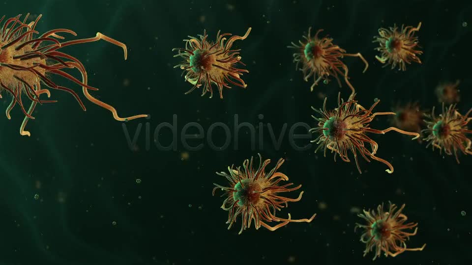 Moving Bacteria Videohive 19228826 Motion Graphics Image 9