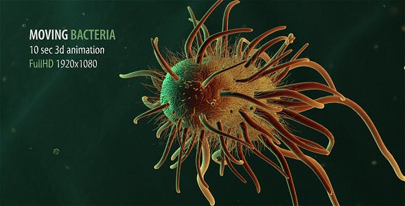 Moving Bacteria - Download Videohive 19228826