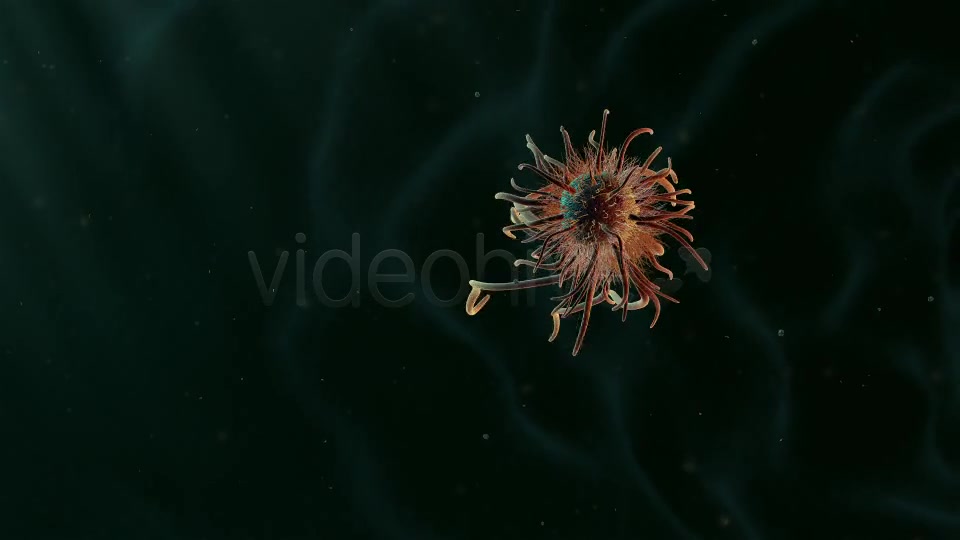Moving Single Bacteria 02 Videohive 19236436 Motion Graphics Image 2