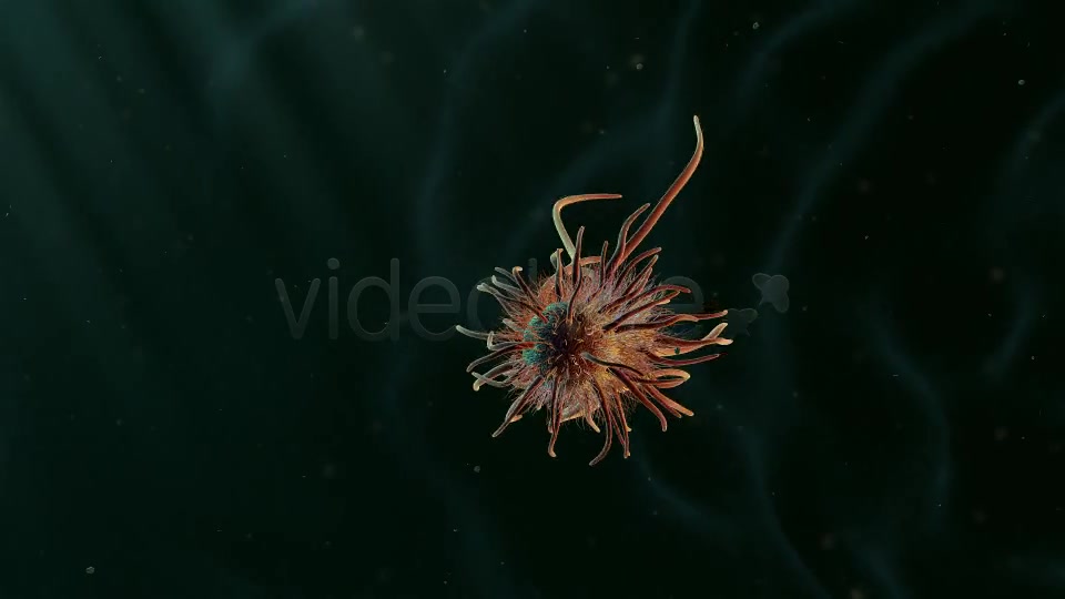 Moving Single Bacteria 02 Videohive 19236436 Motion Graphics Image 4