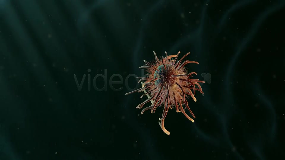 Moving Single Bacteria 02 Videohive 19236436 Motion Graphics Image 5