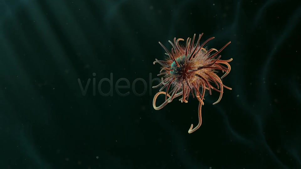 Moving Single Bacteria 02 Videohive 19236436 Motion Graphics Image 6