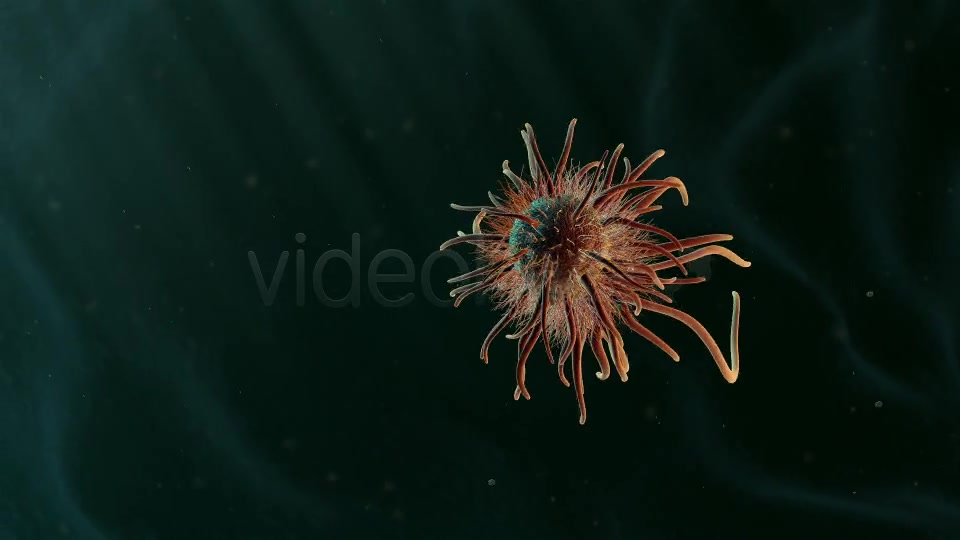 Moving Single Bacteria 02 Videohive 19236436 Motion Graphics Image 8