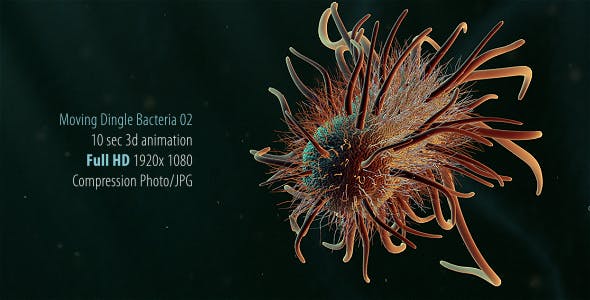 Moving Single Bacteria 02 - Download 19236436 Videohive
