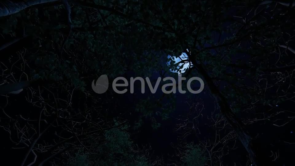 Moving Under Trees With Full Moon At Night Videohive 22142353 Motion Graphics Image 1