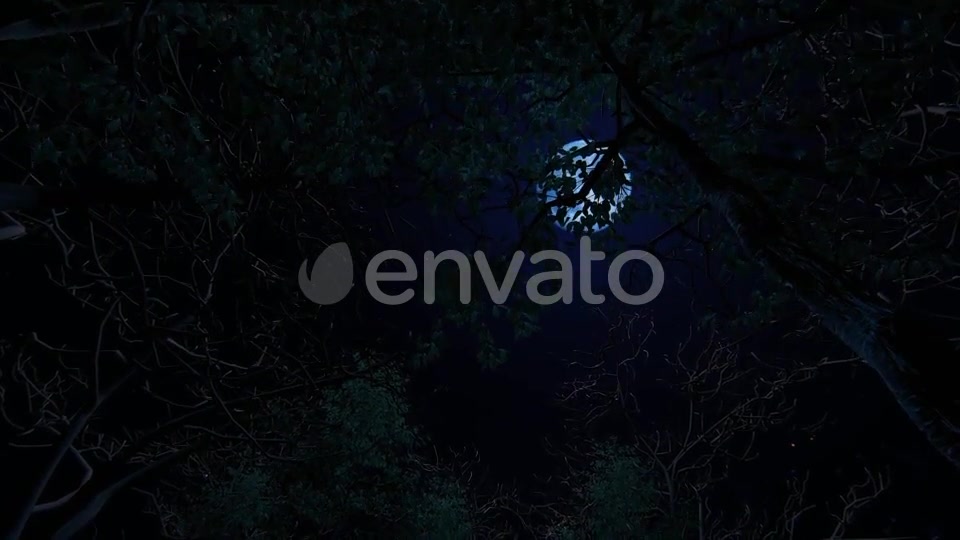 Moving Under Trees With Full Moon At Night Videohive 22142353 Motion Graphics Image 2