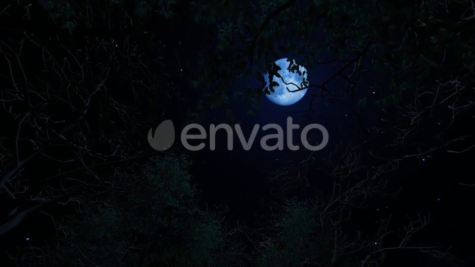 Moving Under Trees With Full Moon At Night Videohive 22142353 Motion Graphics Image 3