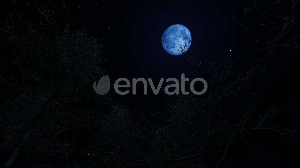 Moving Under Trees With Full Moon At Night Videohive 22142353 Motion Graphics Image 6